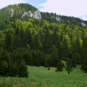 Pod Veľkou Stožkou