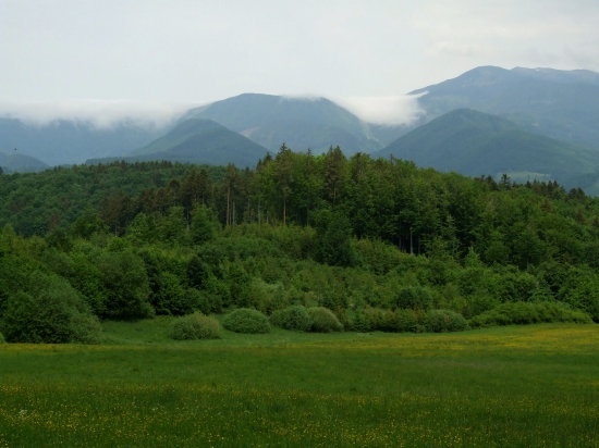 Z Černochova