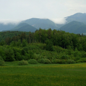 Z Černochova