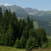 Ďumbierske Tatry