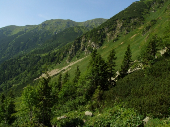 Dolina