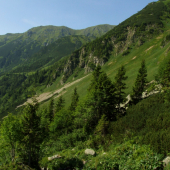 Dolina