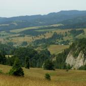 Pohľad do Poľska