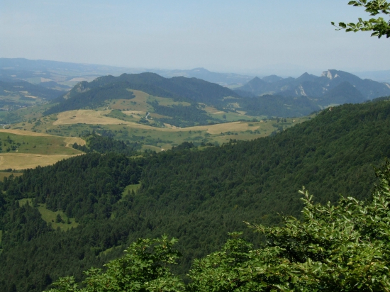Pieniny