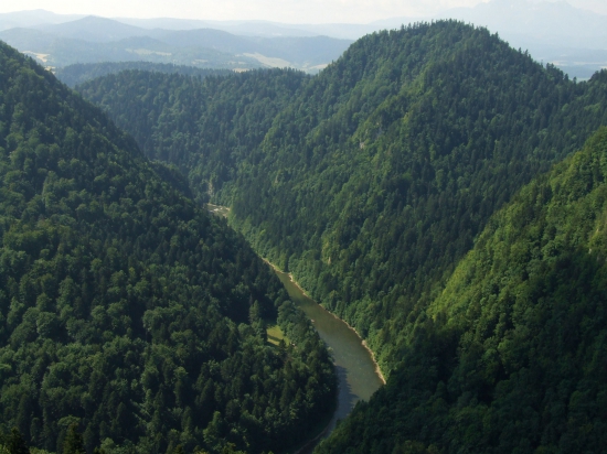 Dunajec