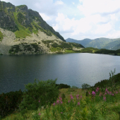Temnosmrečianske pleso