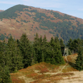 Pri čučoriedkach