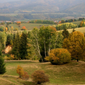 Povraznícke lúky