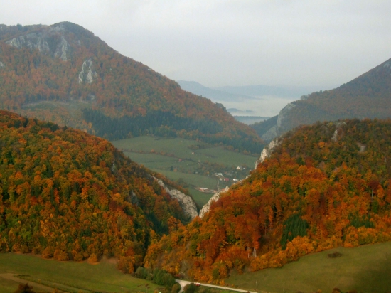 Kostolecká a Manínska tiesňava