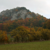 Bosmany