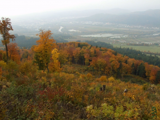 Považie