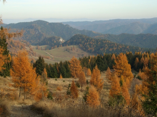 Cestou do Vernára