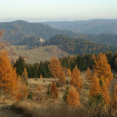 Cestou do Vernára