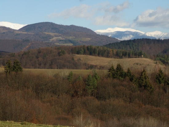 Náznak zimy