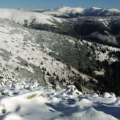 Vrcholová