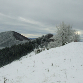 V zamrznutom kráľovstve