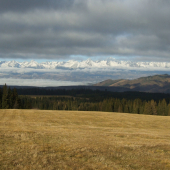 Tatry
