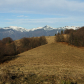 Magura