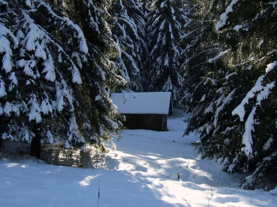 V doline pod Brdárovou