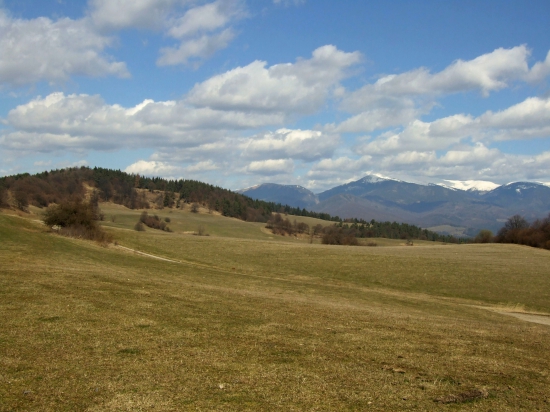Skalolam