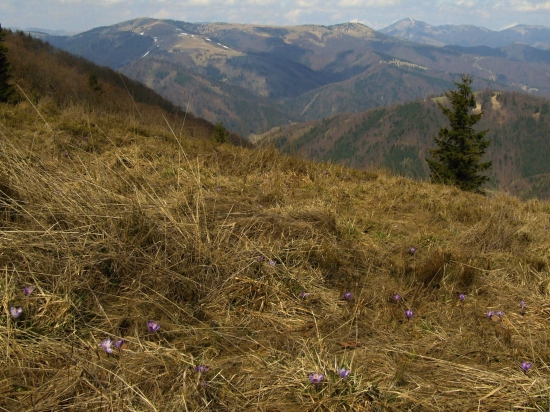 Na hrebeni