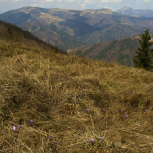 Na hrebeni