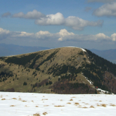 Borišov