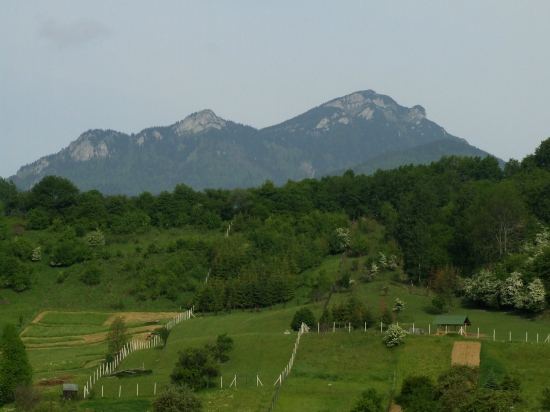 Choč