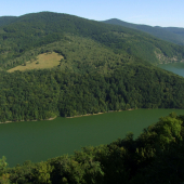 Ružín