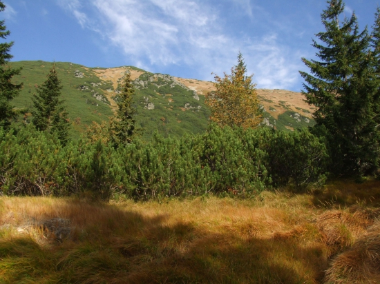V doline