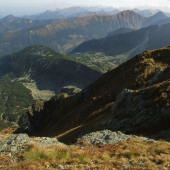 Roháče