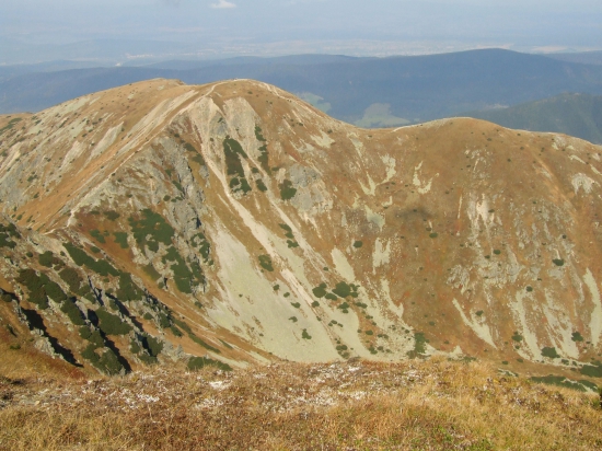 Brestová