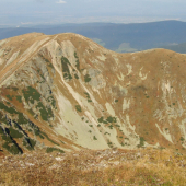 Brestová