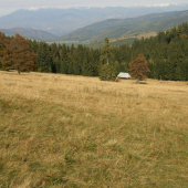 Z Bukoviny