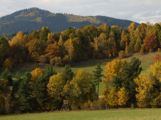 Z jesennými farbami
