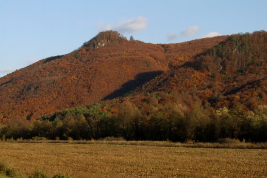 Kopa