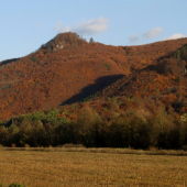 Kopa