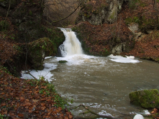Po daždi