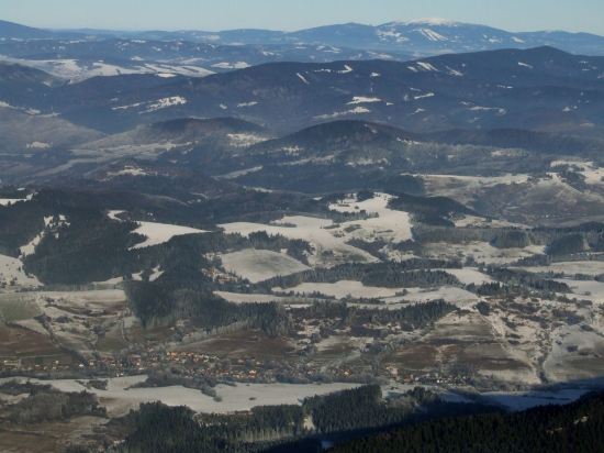 Orava