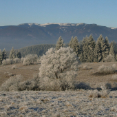 Pohľad na Prašivú