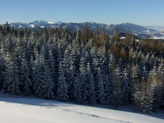 Pohľad na Nízke Tatry
