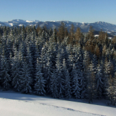 Pohľad na Nízke Tatry