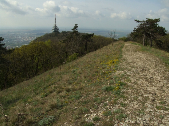 Zobor
