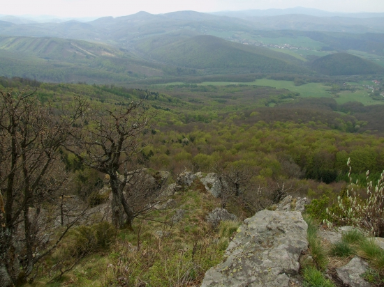 Zo Žarnova