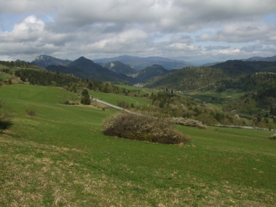 Pieniny