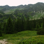 Pod predným zeleným