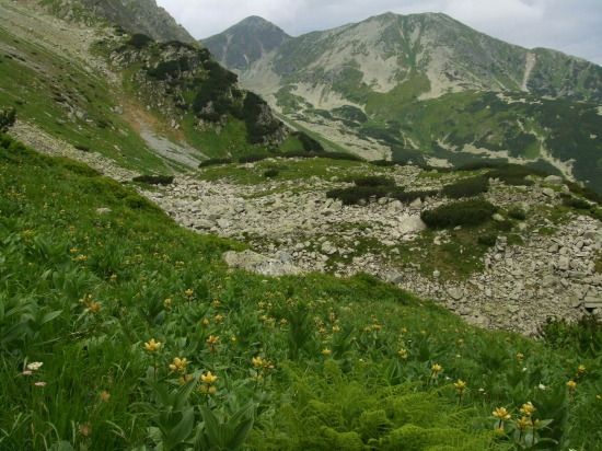 Pod vrchným plesom