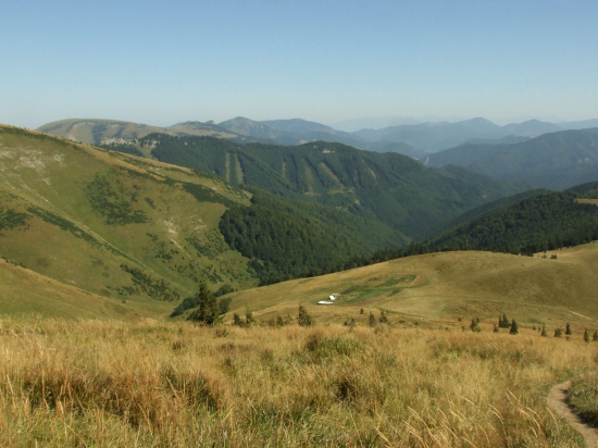 Rybovské sedlo