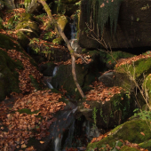 Kotmanovské vodopády