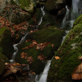 Vodopády na Vrbinskom potoku